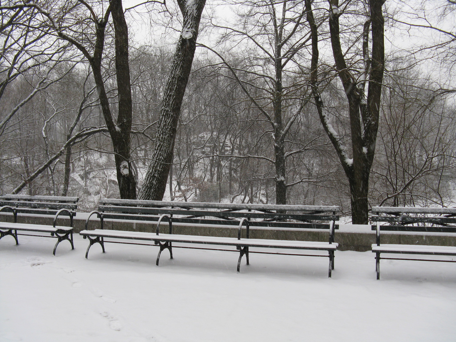 Benches