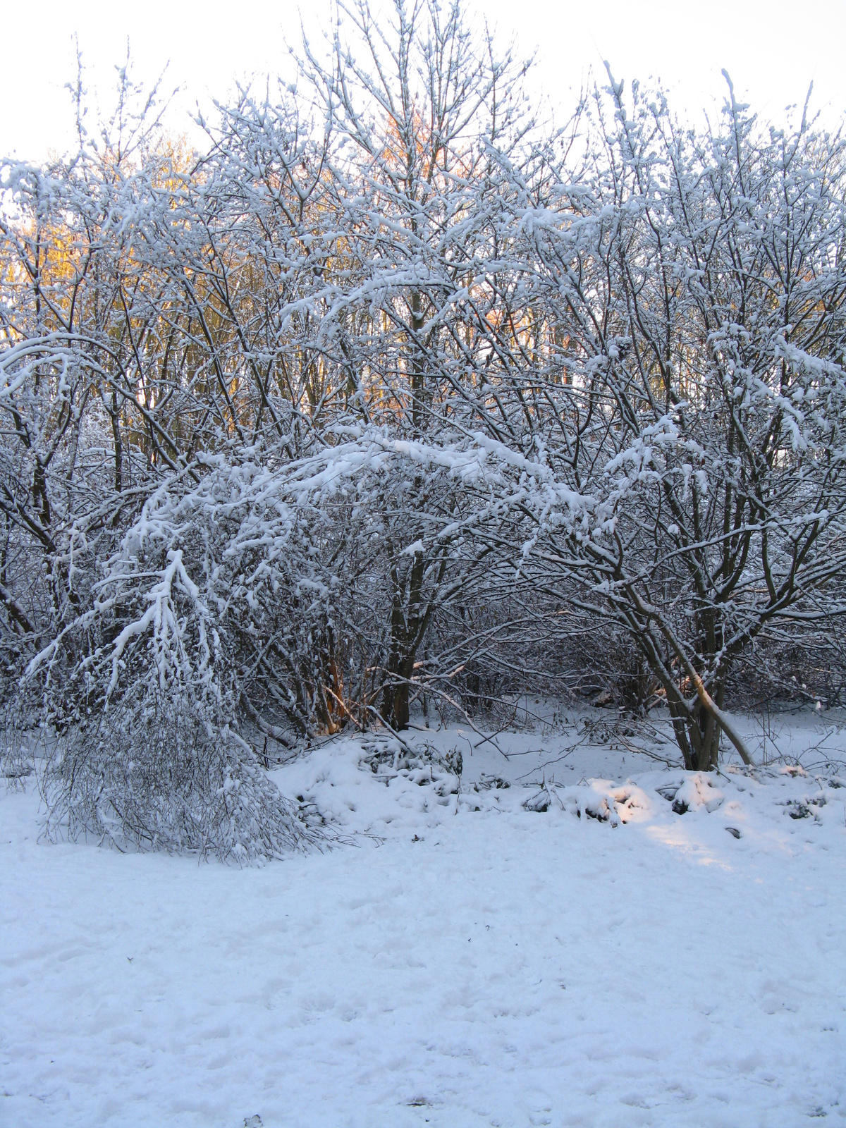 White overflow