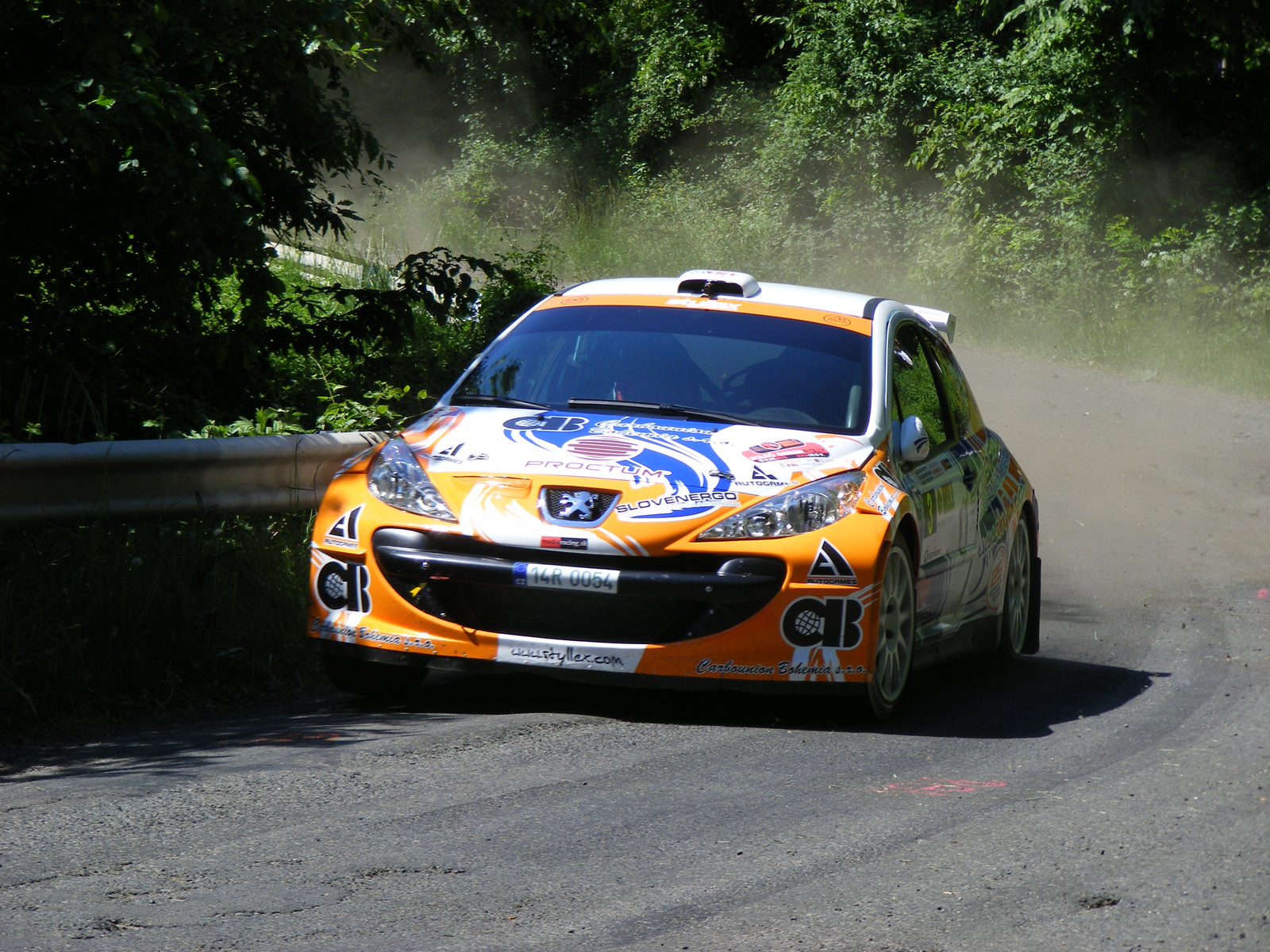 Salgó  Rally 2009 480