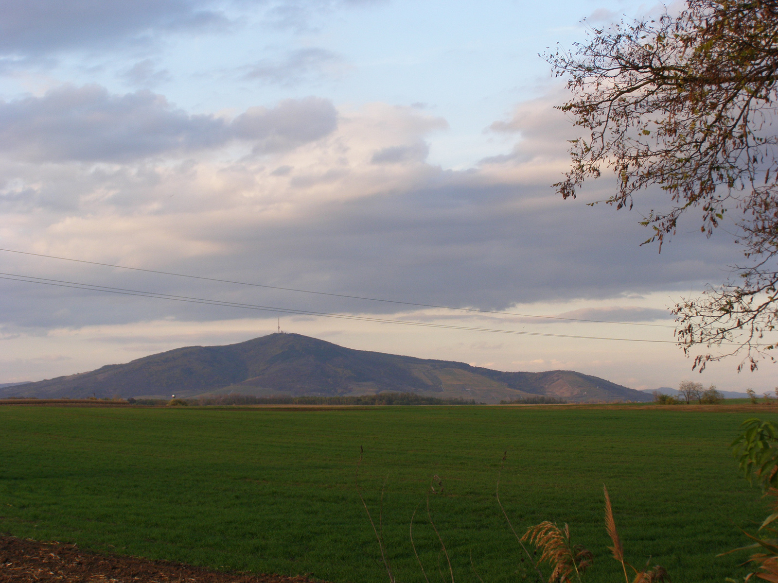 Tokaj