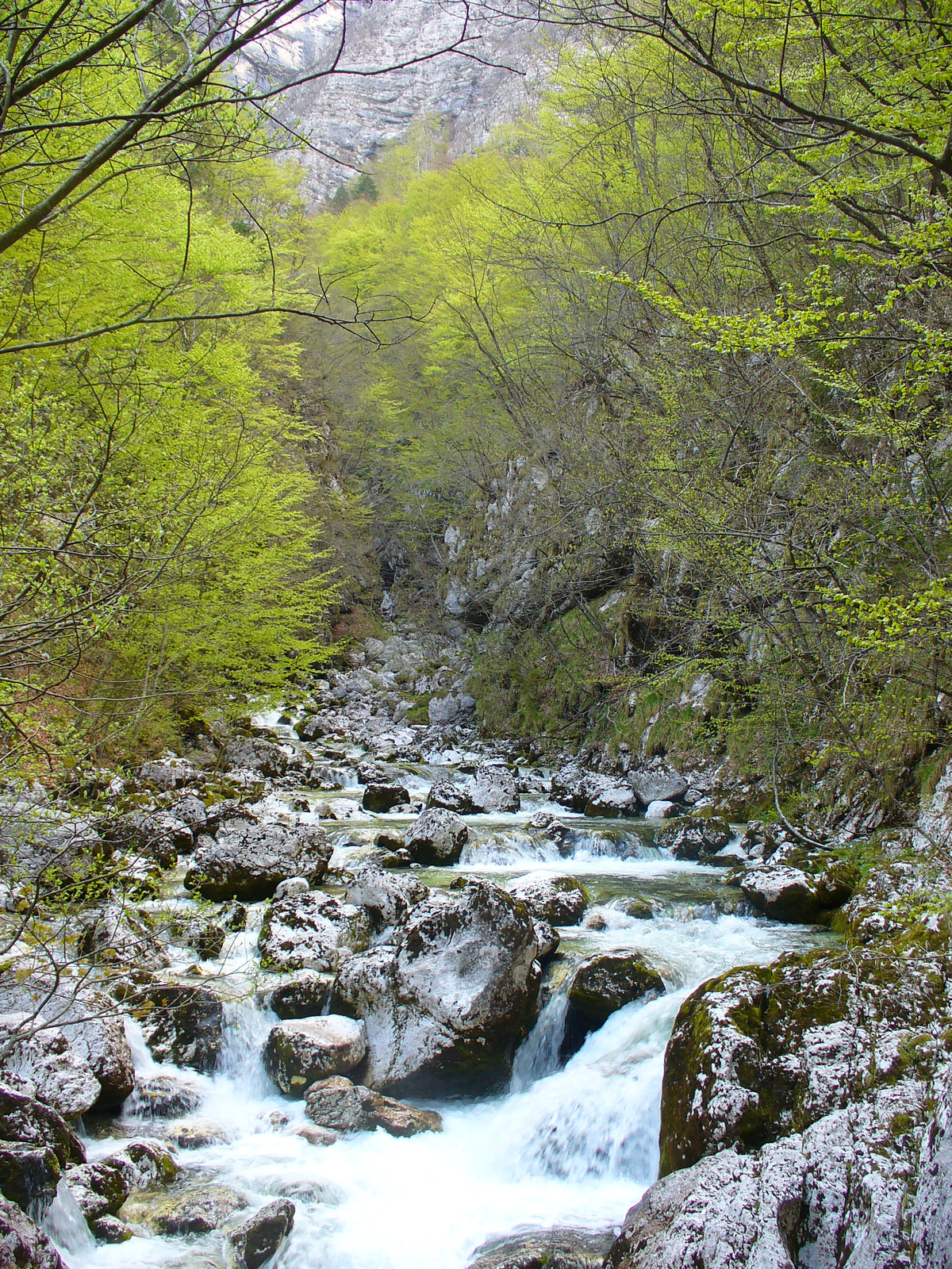 Bohinj