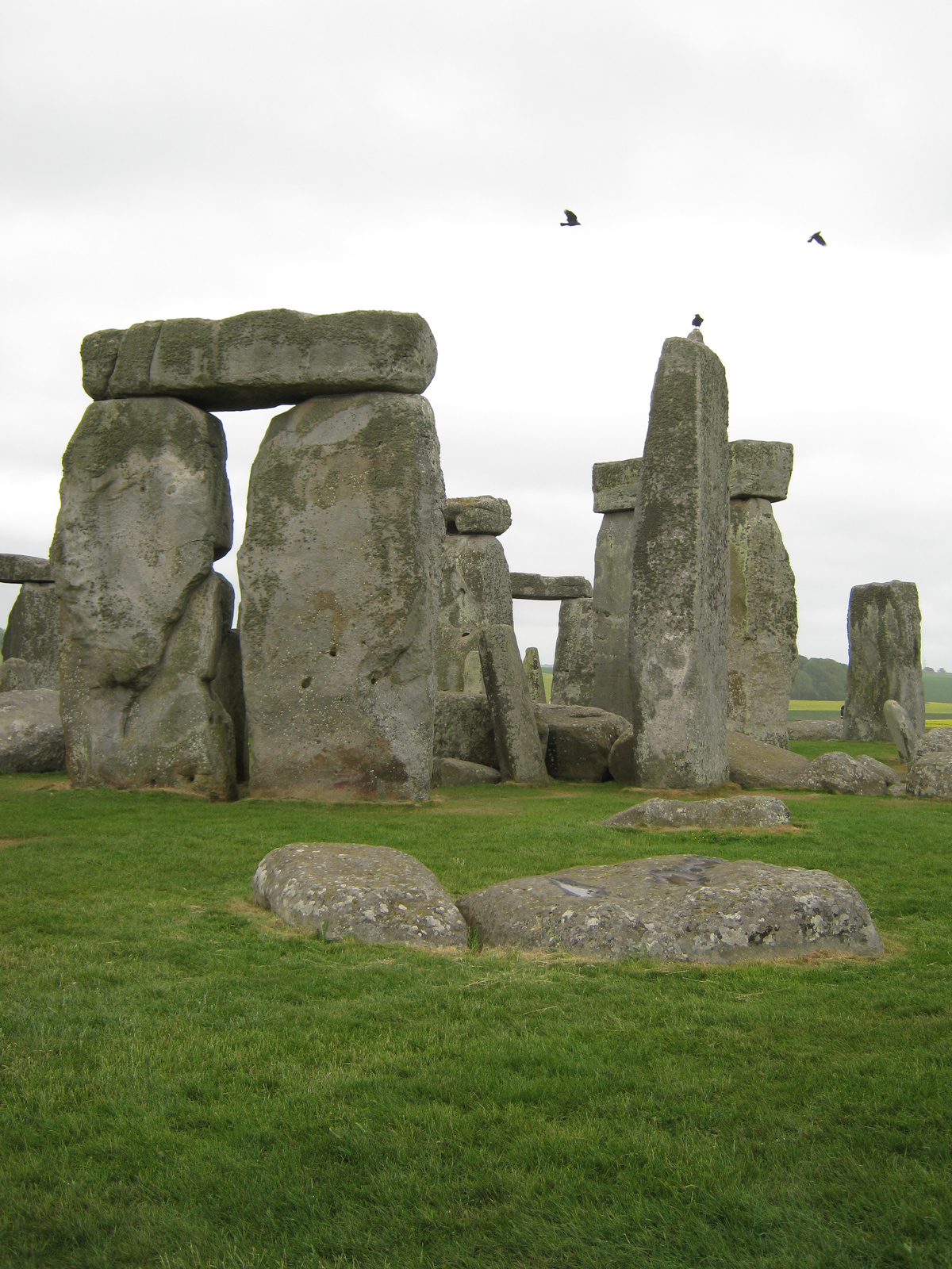 20100529 StoneHenge (14)