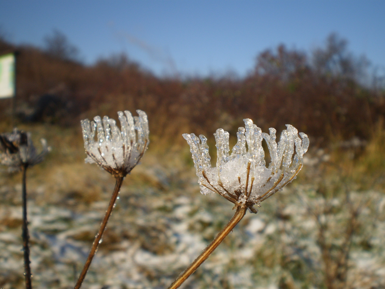 20101127Jakab hegy 092