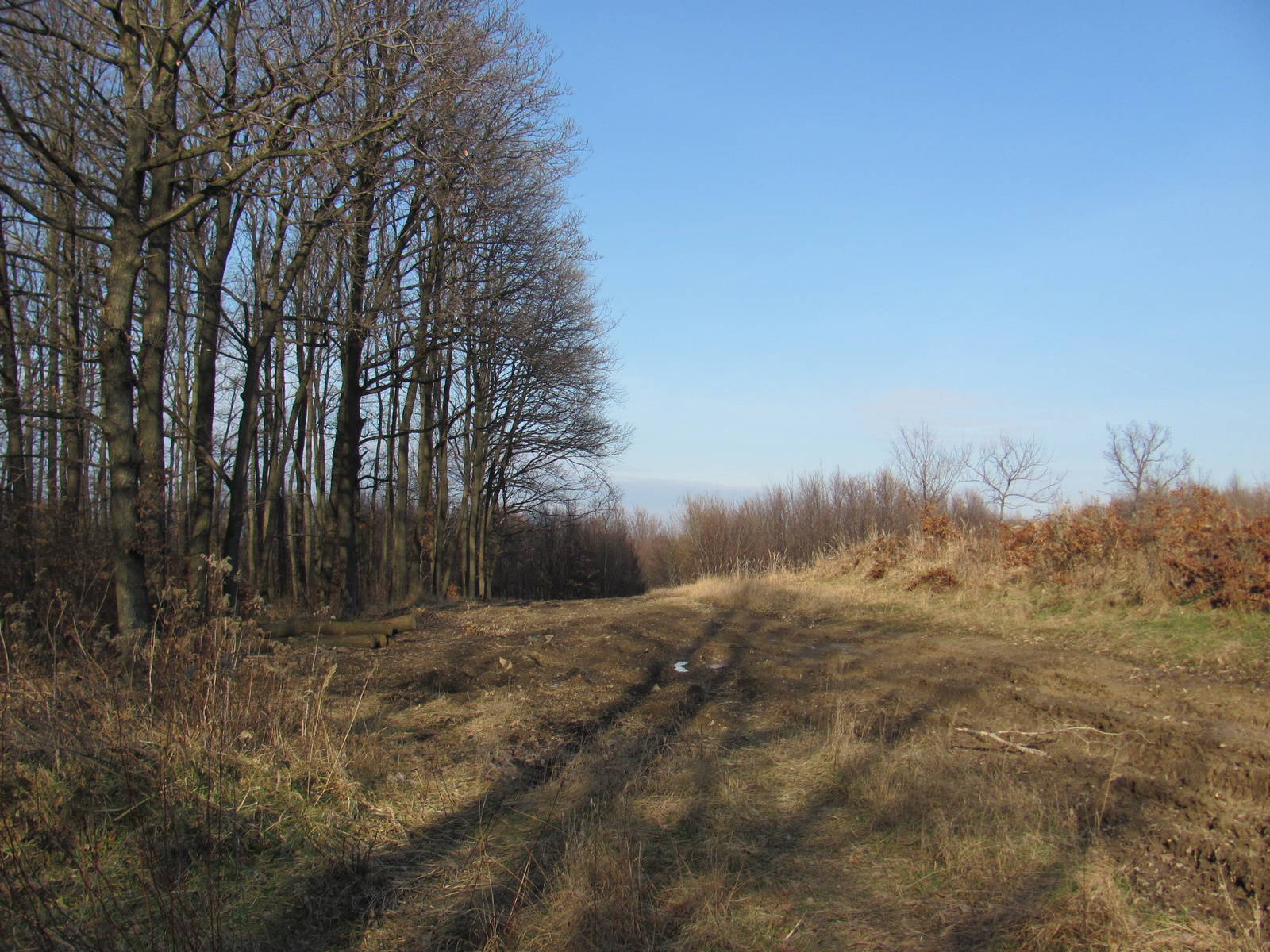 2011.01.16 Orfű jakabhegy Patacs 071