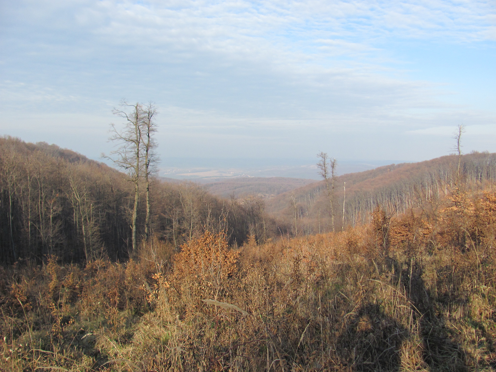 2011.01.16 Orfű jakabhegy Patacs 082