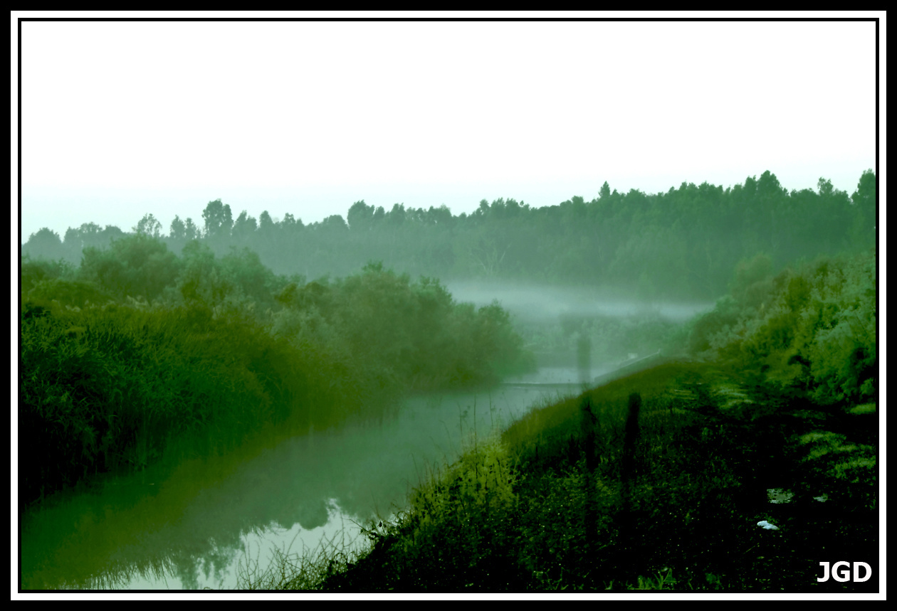 Párás hajnal 1 HDR2