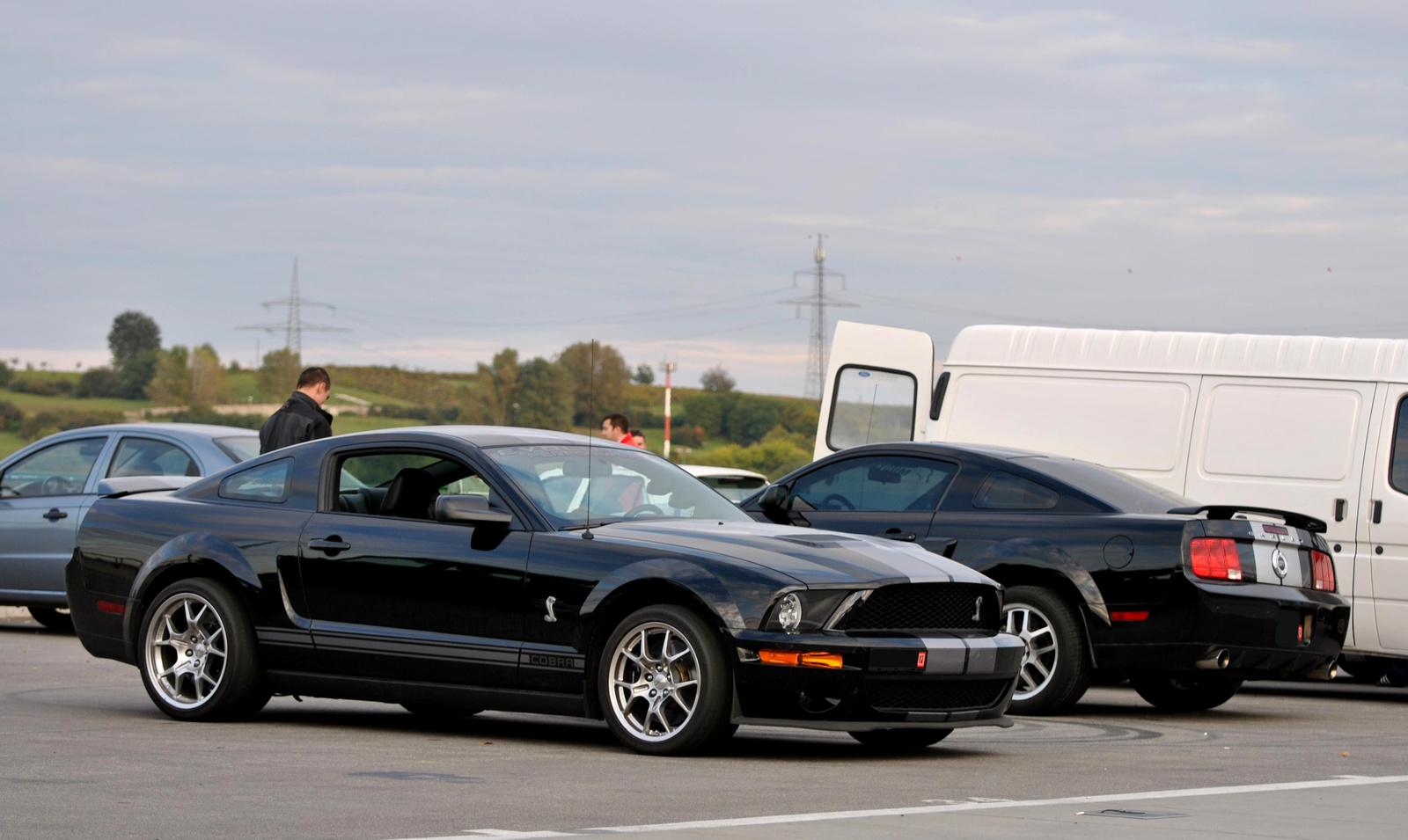 Shelby GT & Cobra
