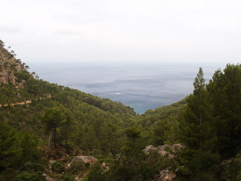 mallorca 017