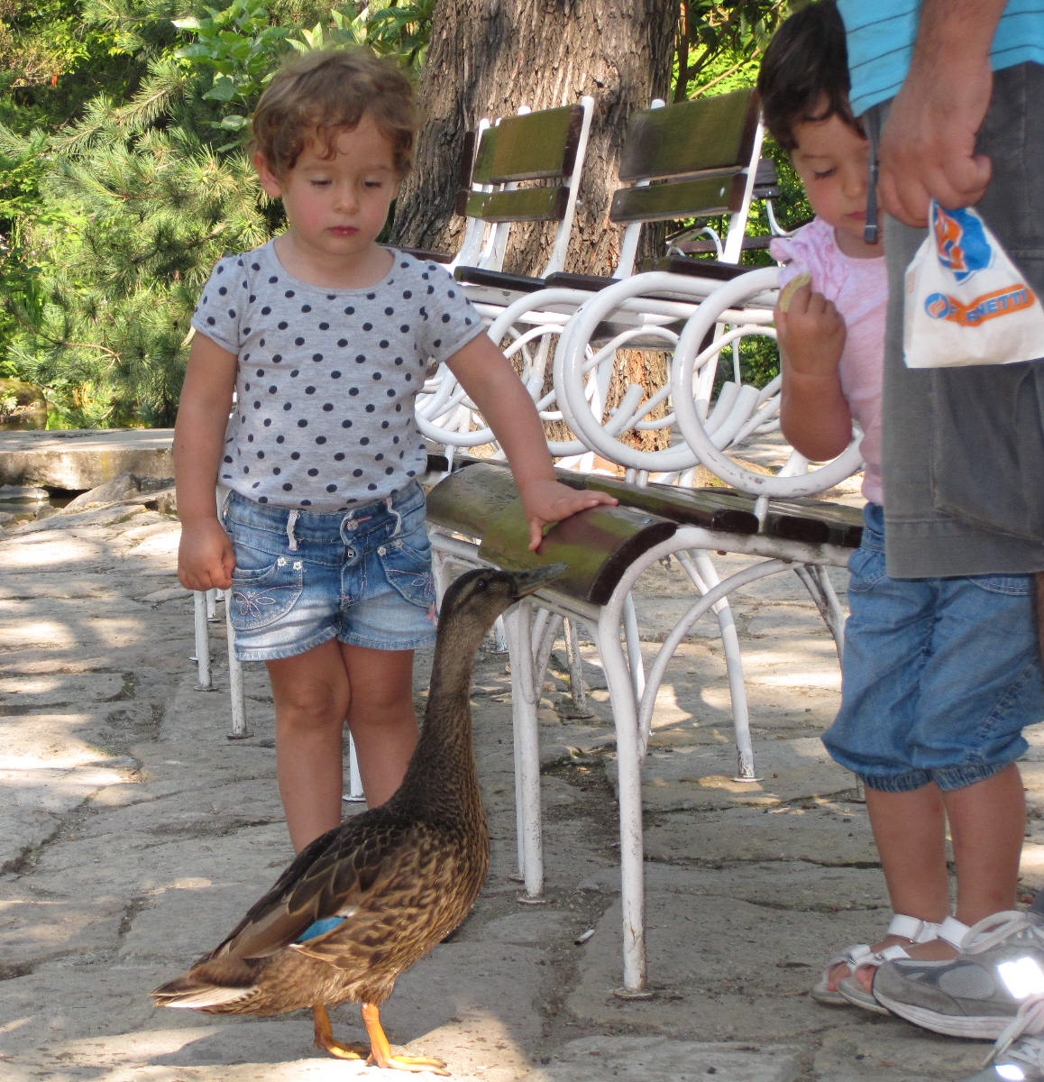 budapest zoo