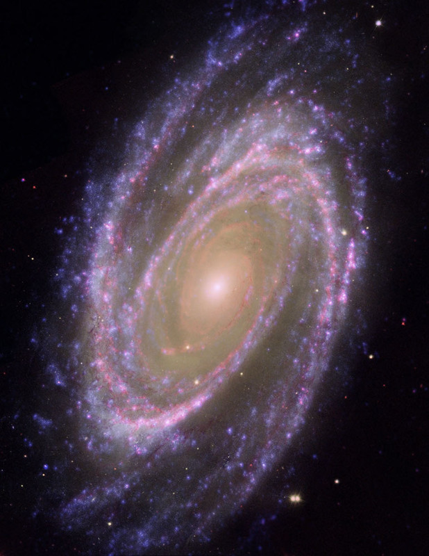 M81