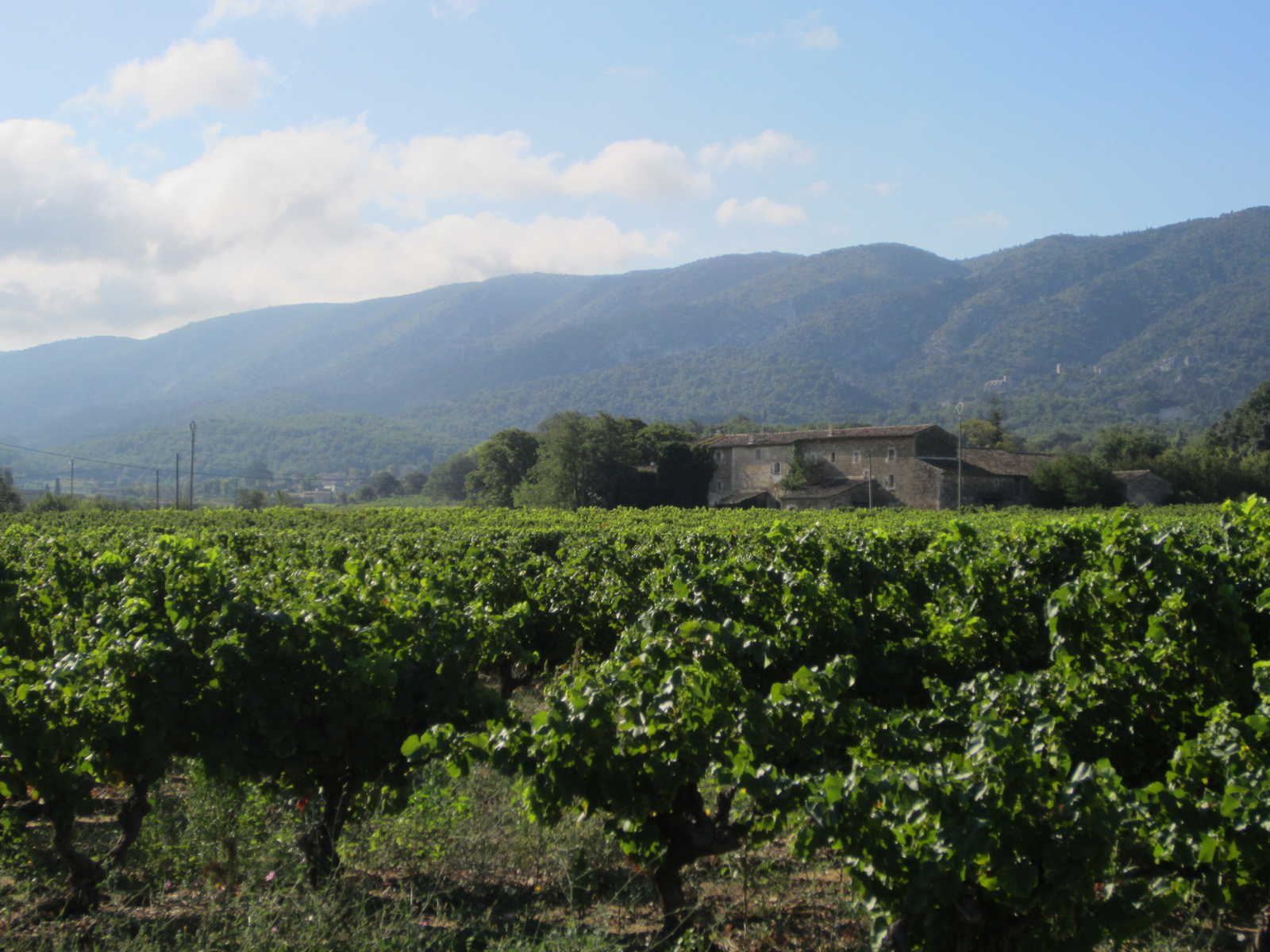 méltó búcsú Provence-tól...