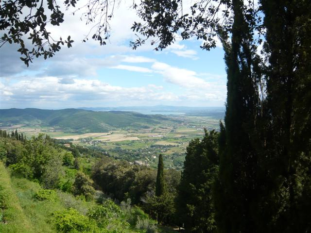 Cortona