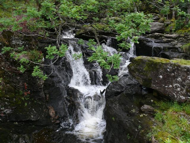 Rowardennan - Beinglas Farm