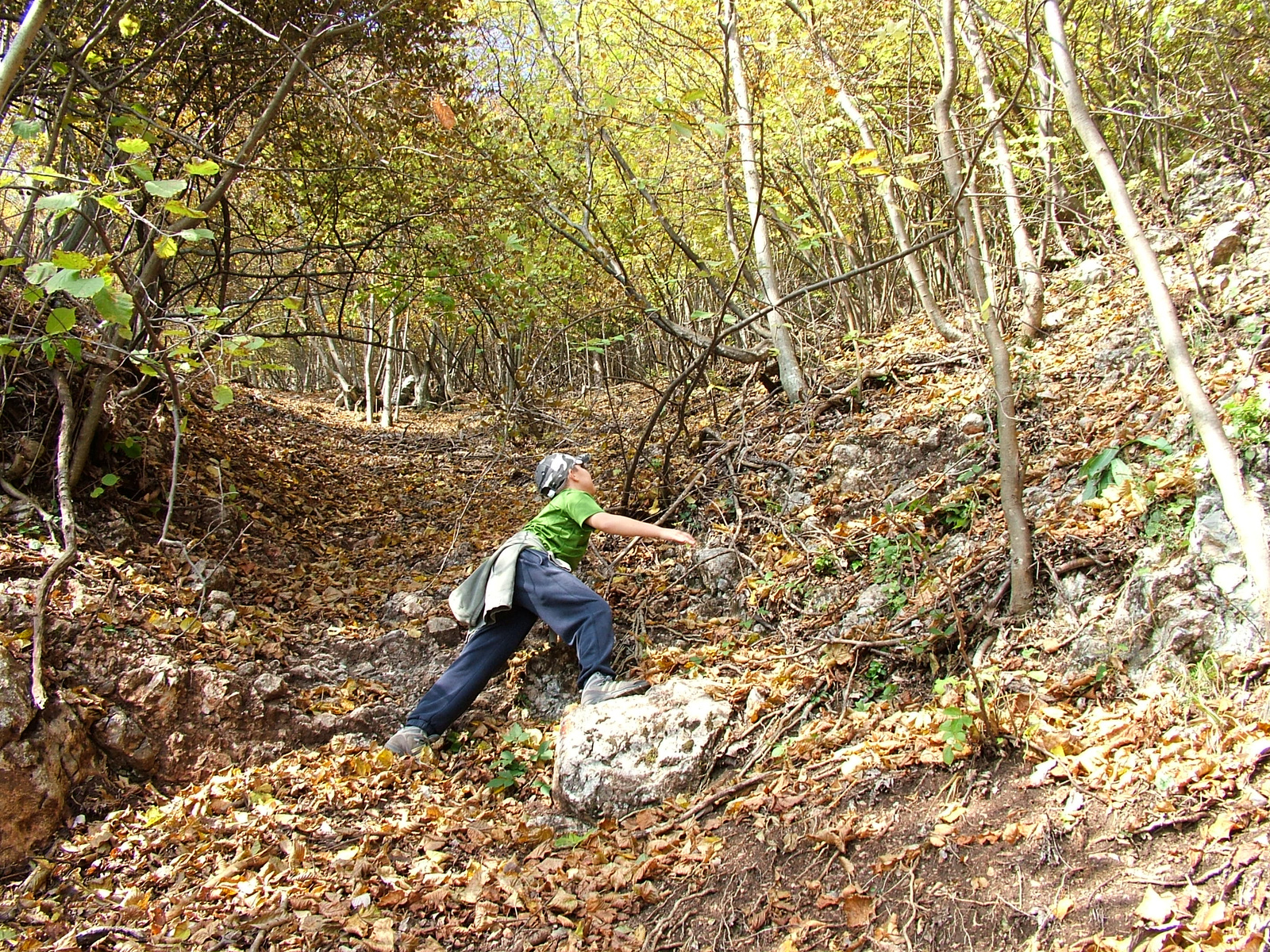 Hohe Wand Ausztria (28)