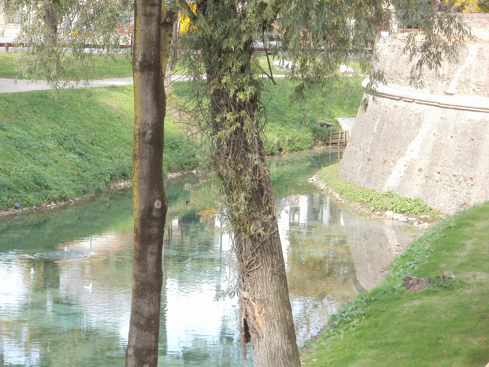 Treviso