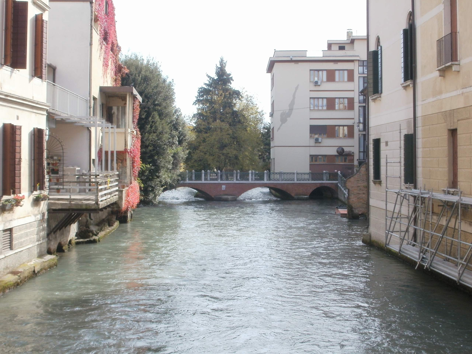 Treviso