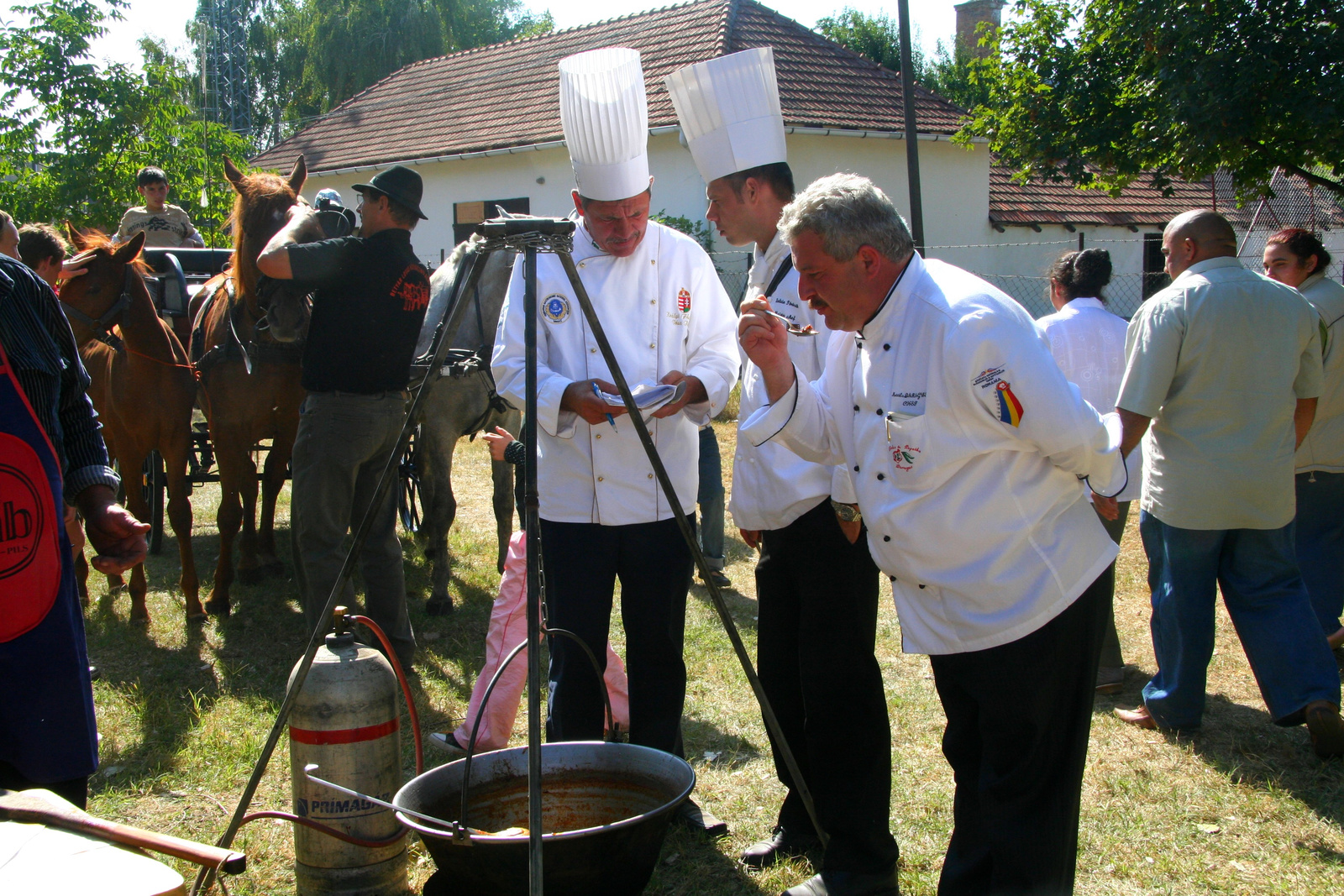 Nemzetközi zsüri