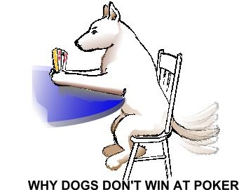 poker dog1