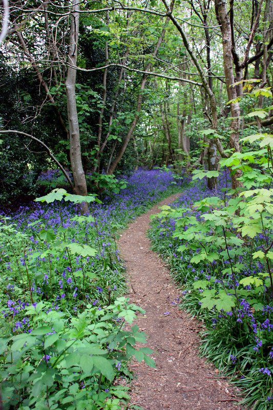 Slindon Estate the National Trust