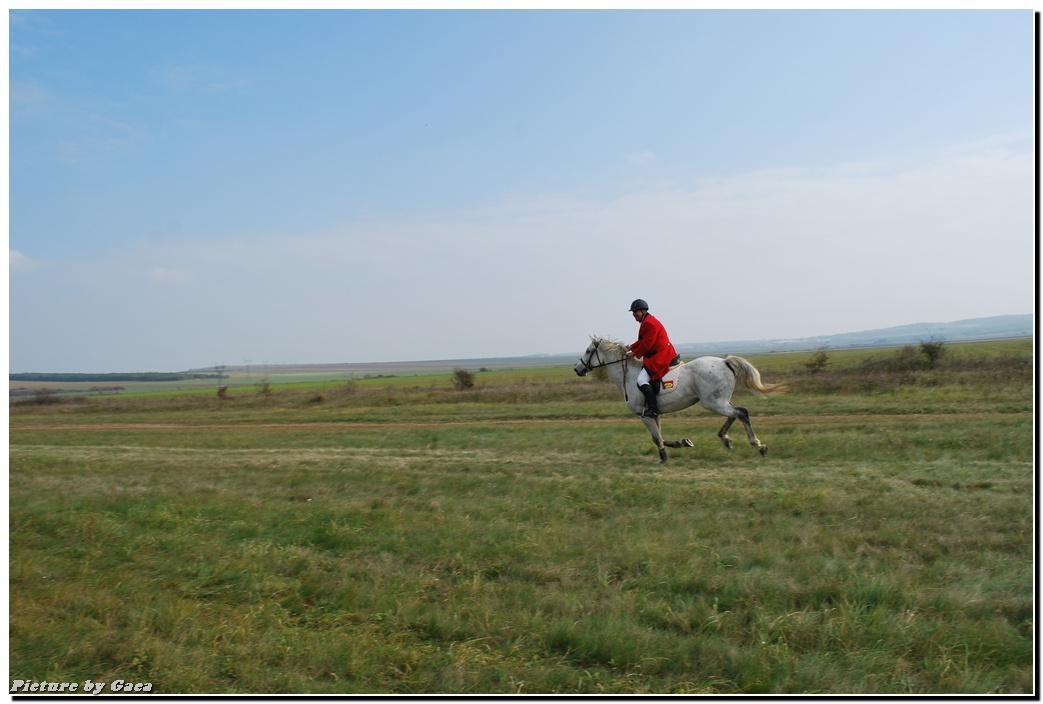 vadaszlovigaca201000095