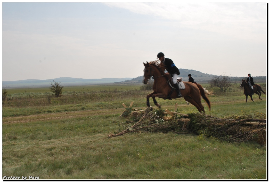 vadaszlovigaca201000105