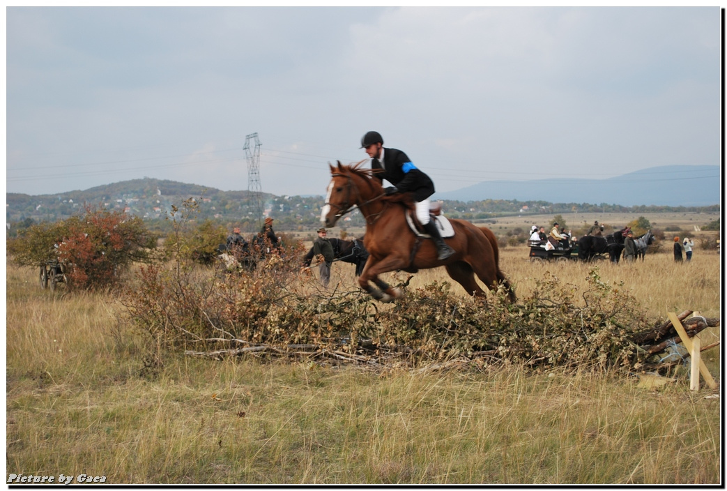 vadaszlovigaca201000159