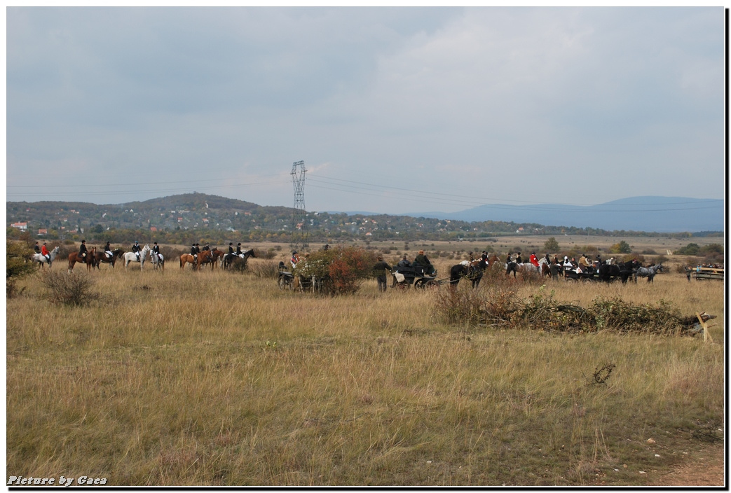 vadaszlovigaca201000172