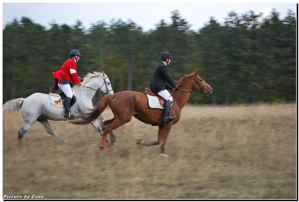 vadaszlovigaca201000199