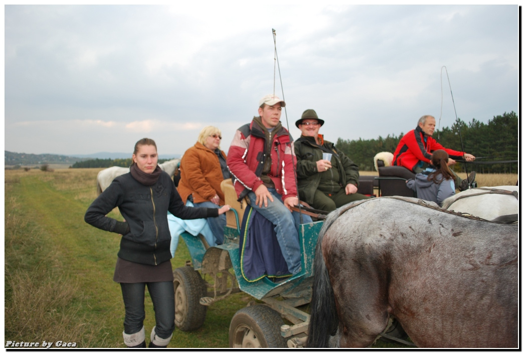 vadaszlovigaca201000208