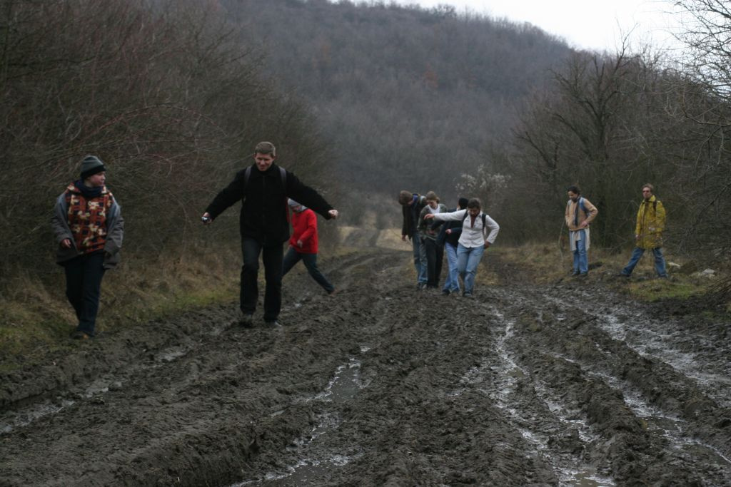 SzentLászló08 41-dagonya