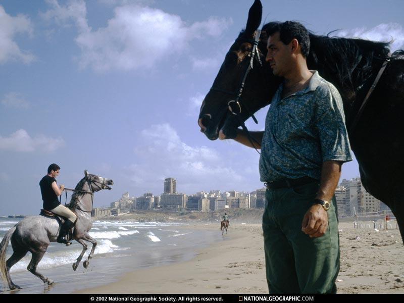 beirut-rising-519164-sw (Medium)