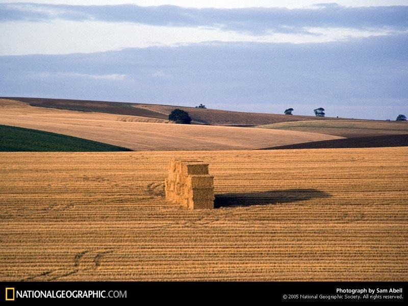 hay-pile-483634-sw (Medium)