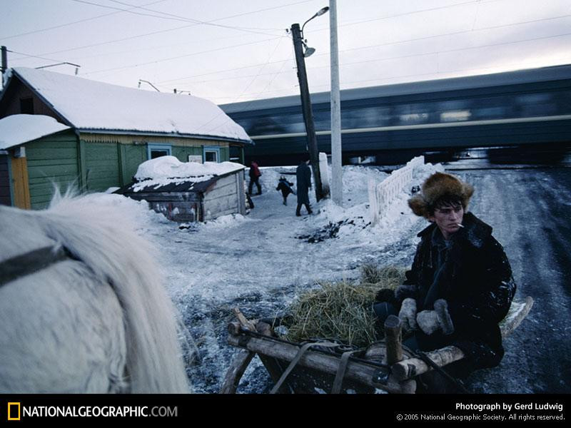 horse-drawn-sleigh-516689-sw (Medium)