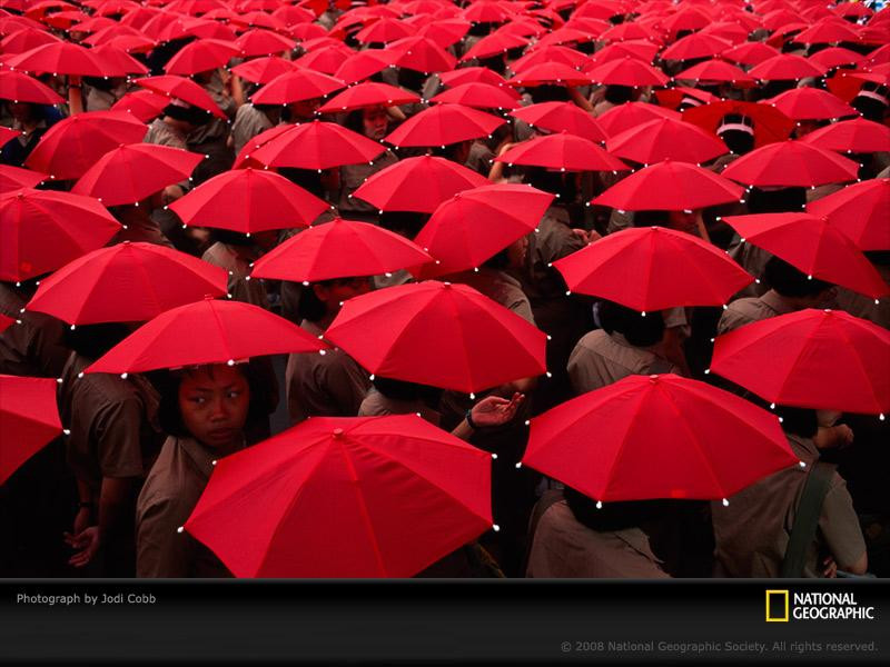 red-umbrellas-cobb-724048-sw (Medium)