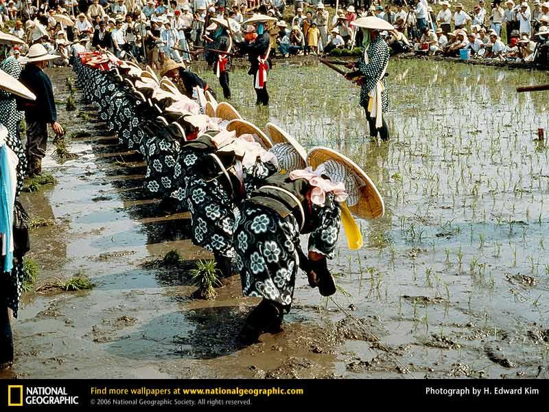 rice-planting-festival-32703-sw (Medium)