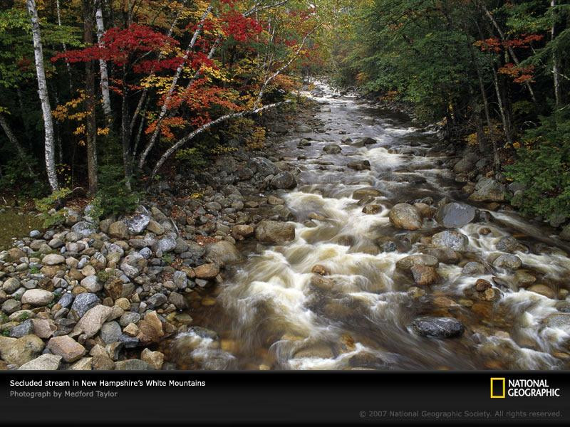 white-mountain-stream-89391-sw (Medium)