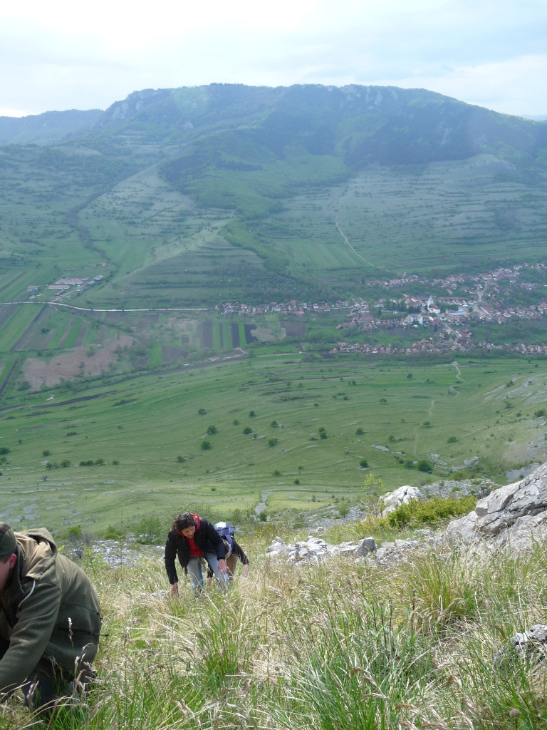 Erdely 2011 D Torocko szekelyko 038