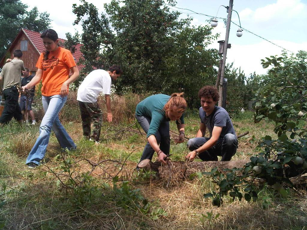 Bogracsozas 20110702 telek 065