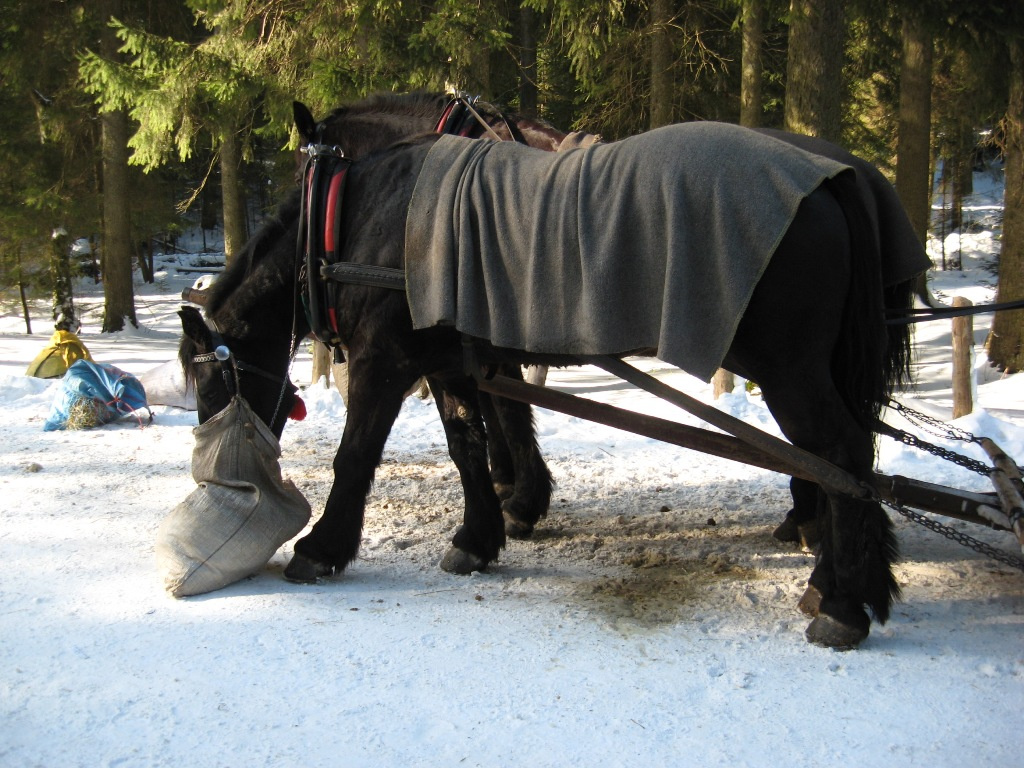 Zakopane Tengerszem 014