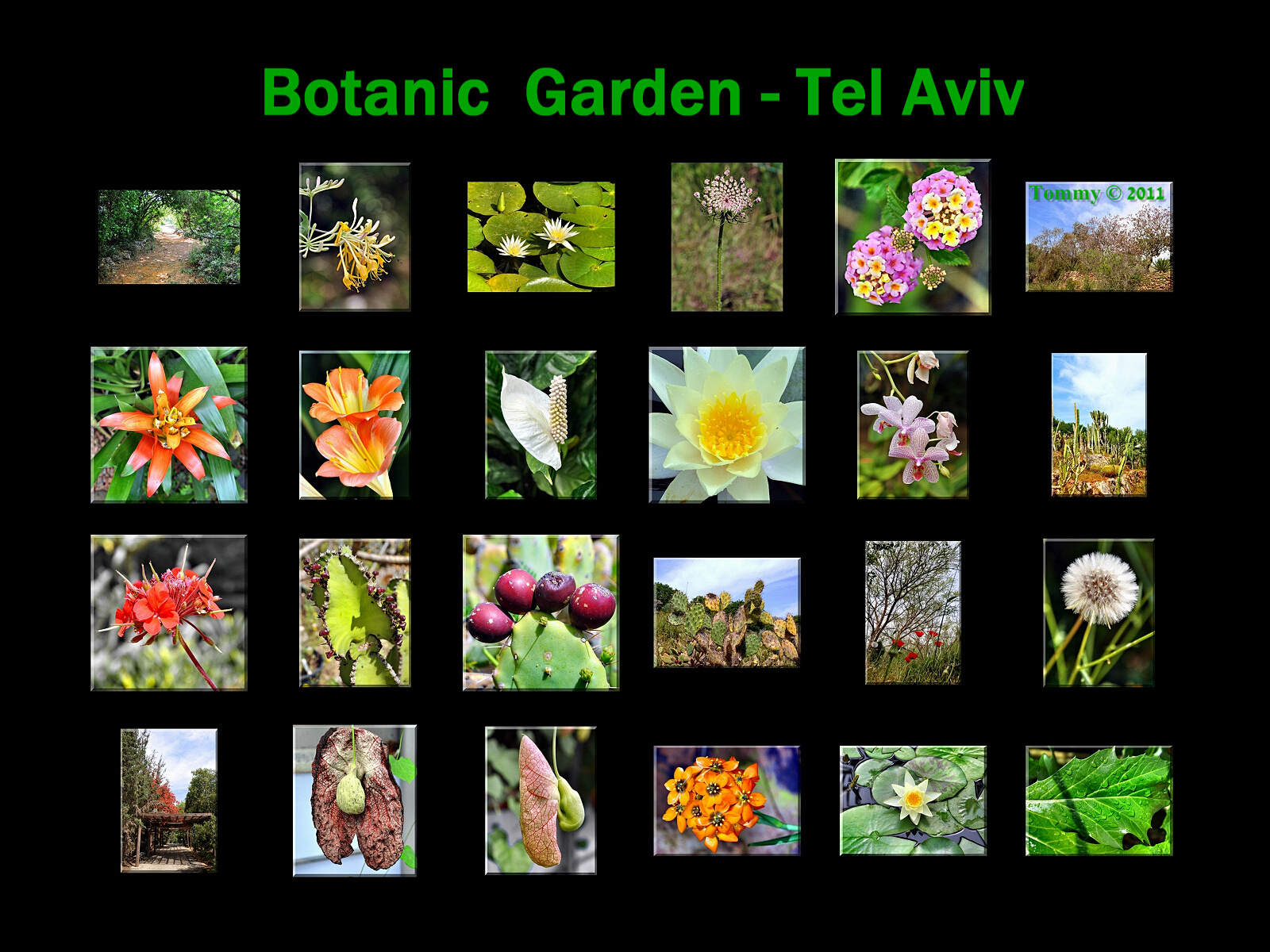 Botanic Garden Tel Aviv