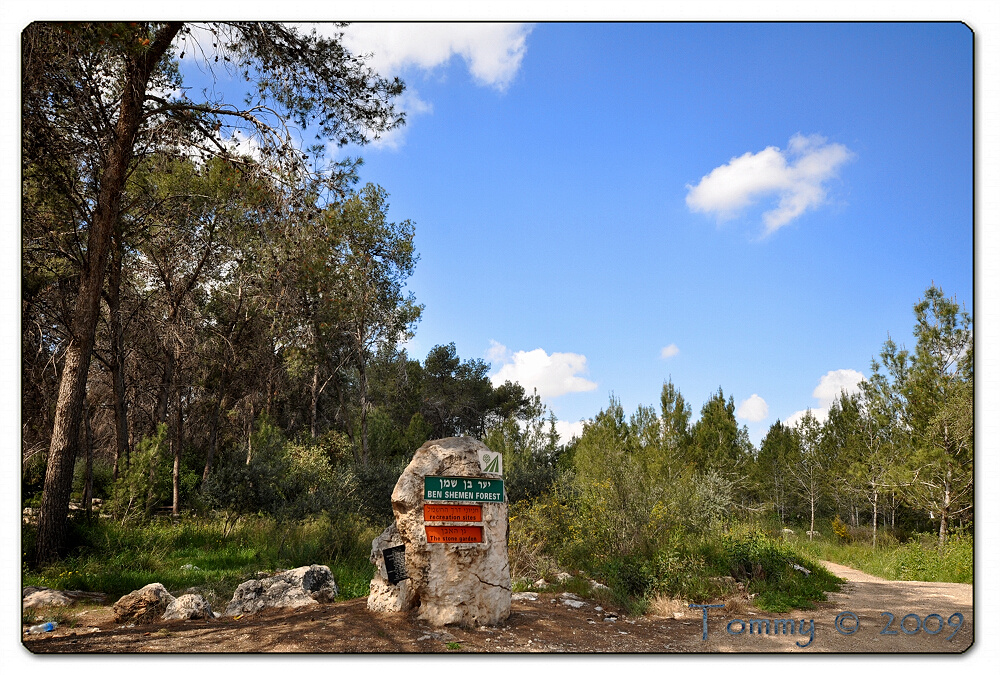 Ben Shemen Forest