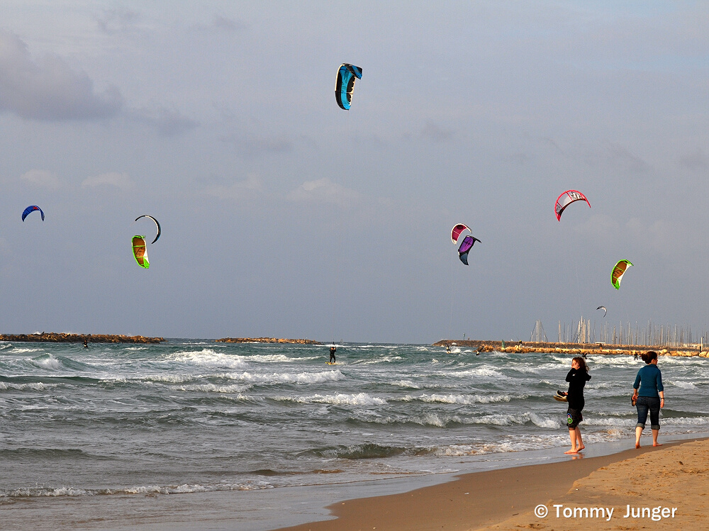 The Tel Aviv beach