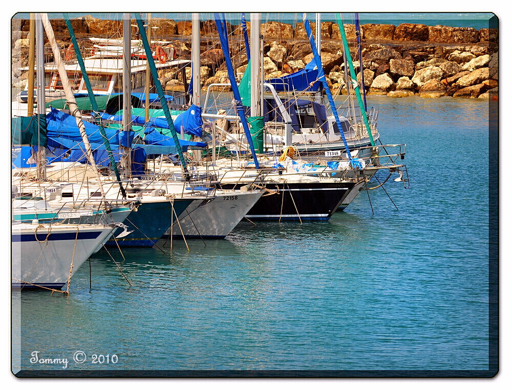 Marina Reflection