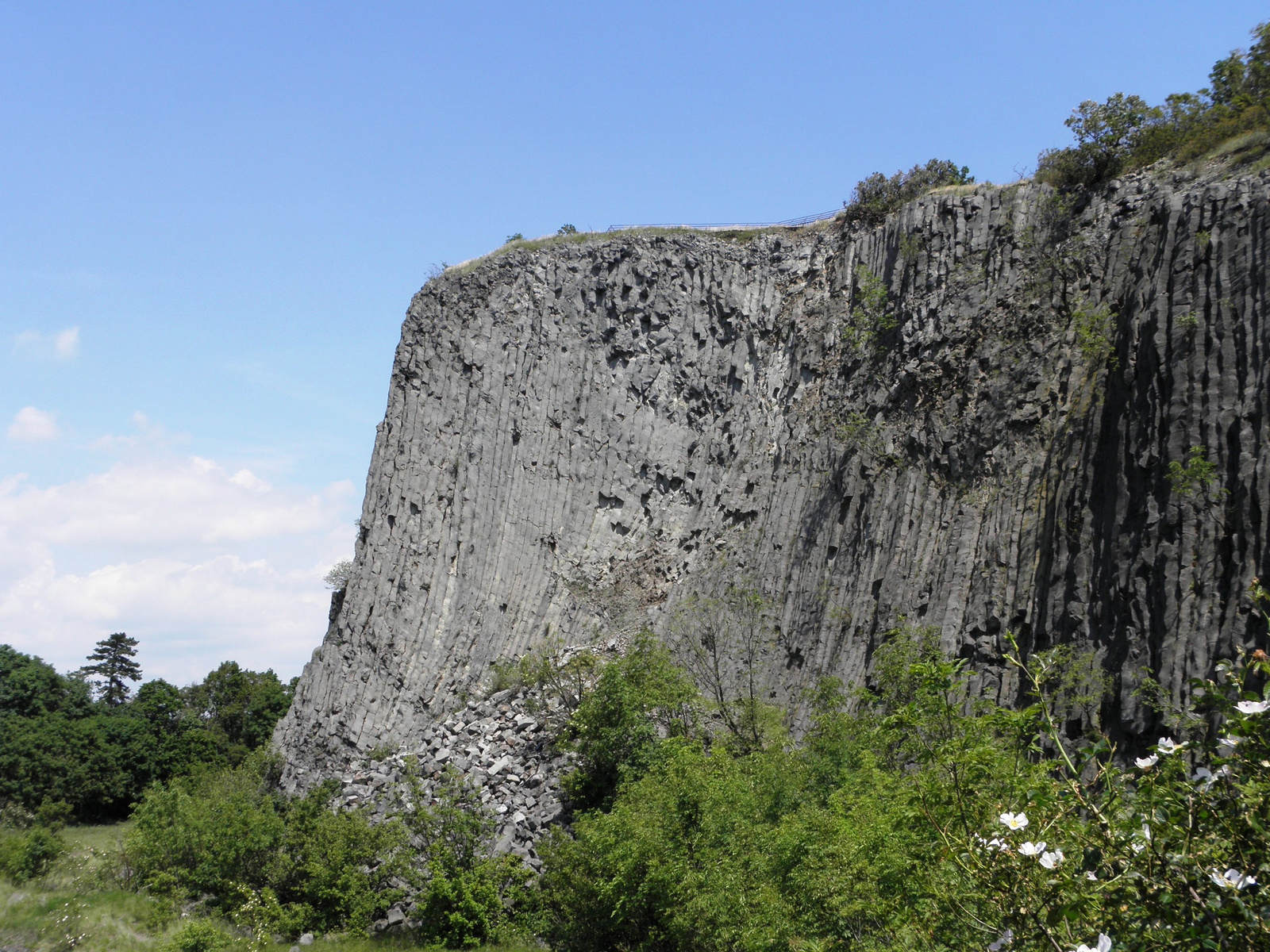 2010.05 . Hegyestű