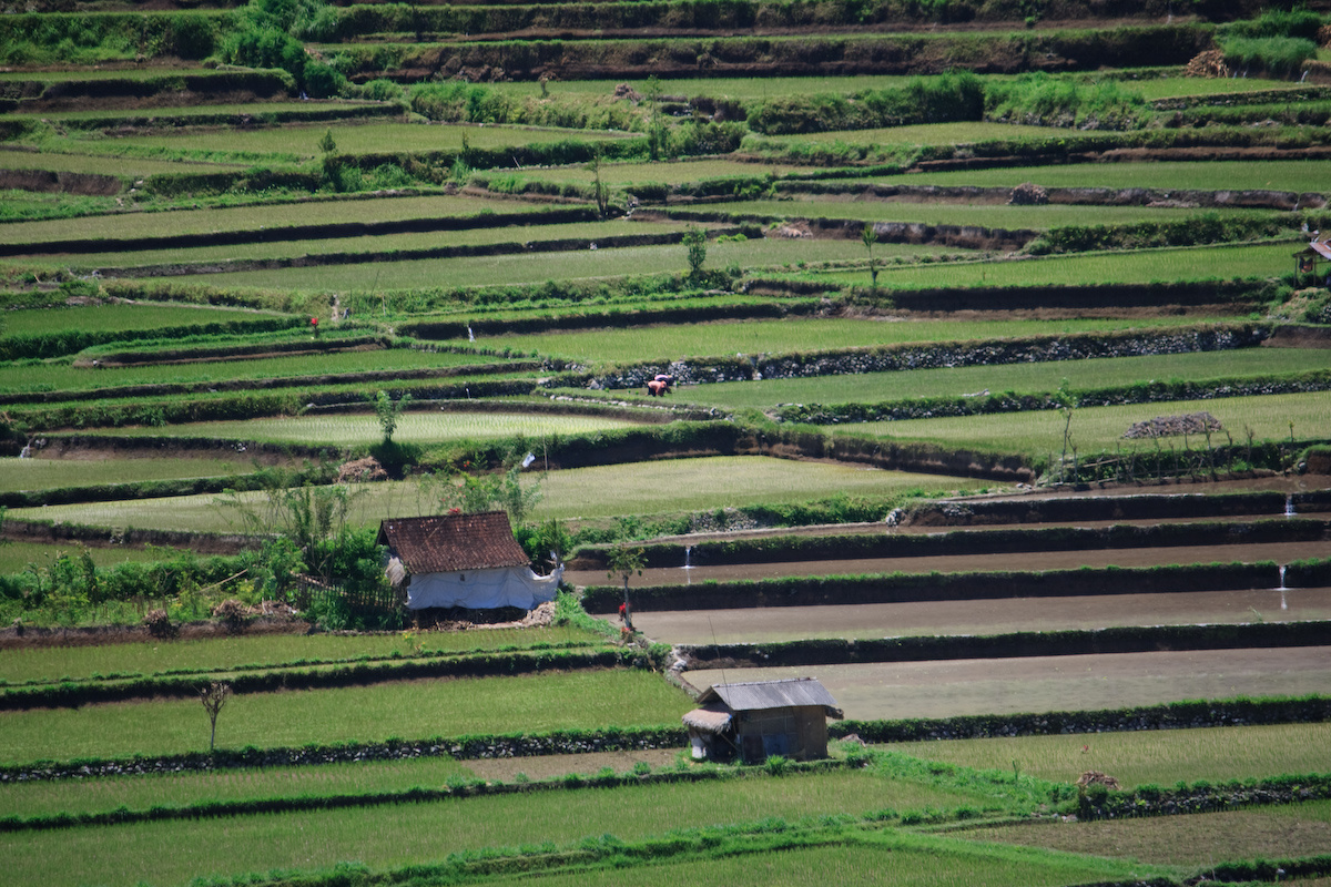 Bali 2008 082