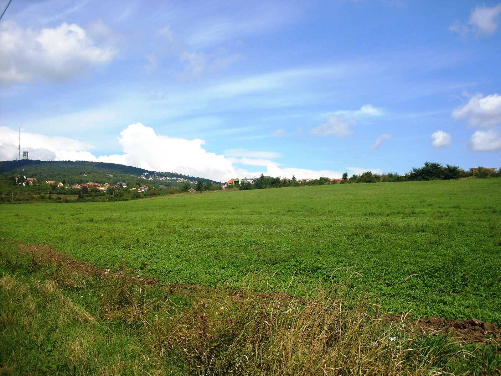 41.Panorama,landscape