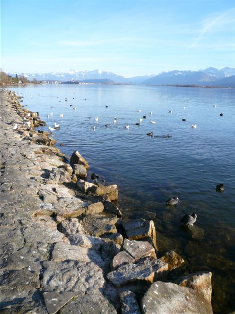 Rapperswil