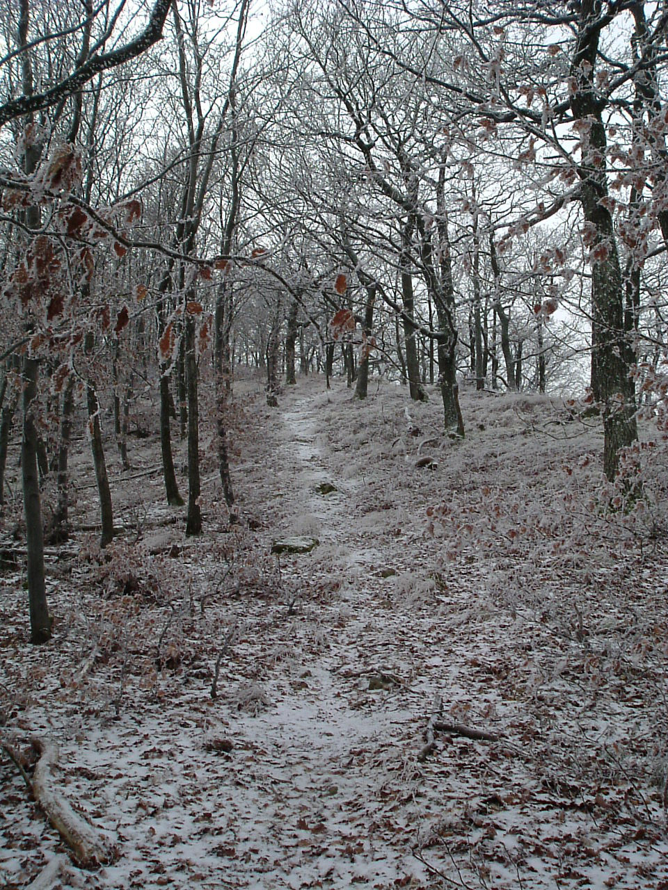 DSCF6432Bába-tetőn