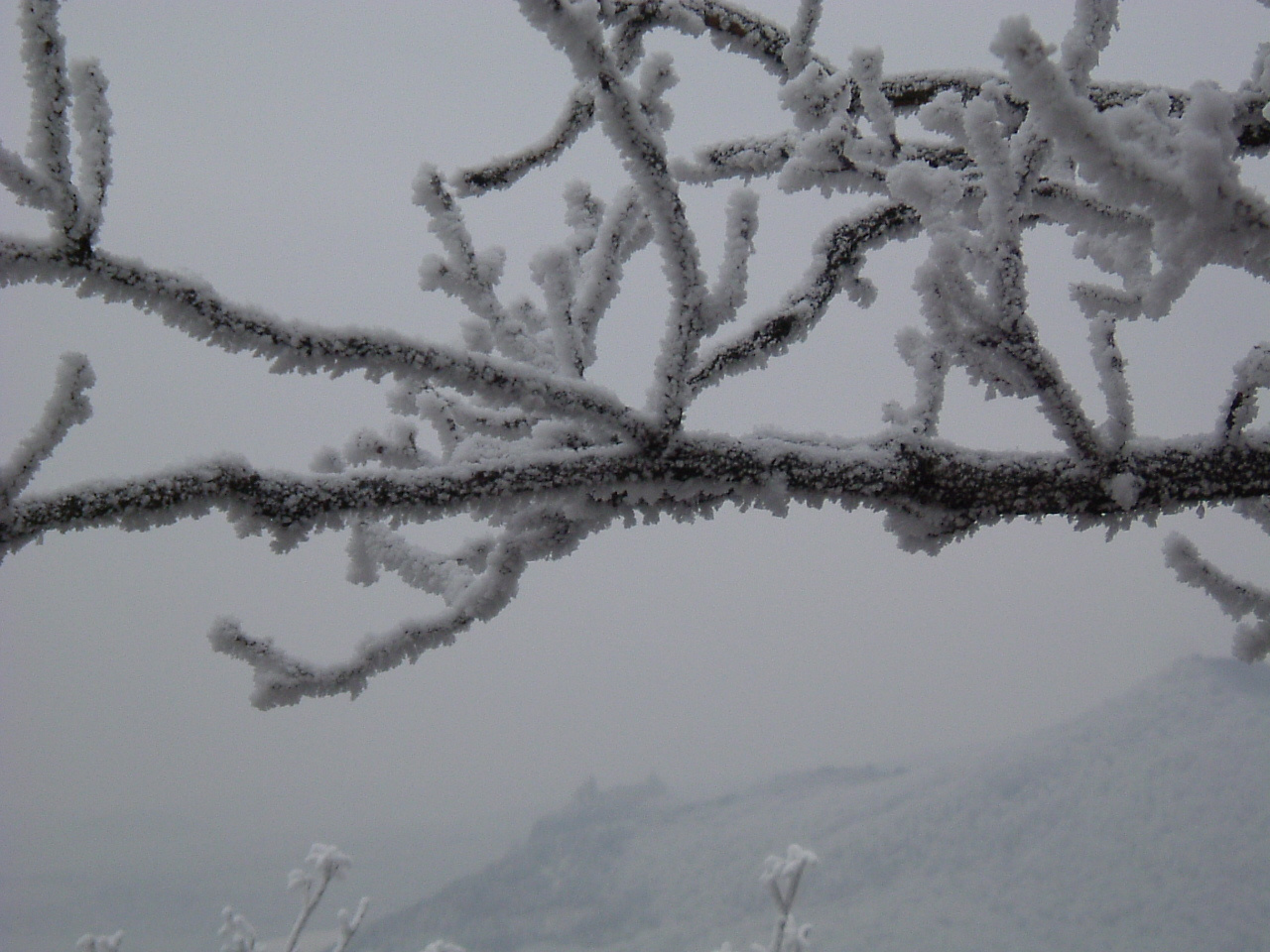 DSCF6441Bába-tetőről a Füzéri vár