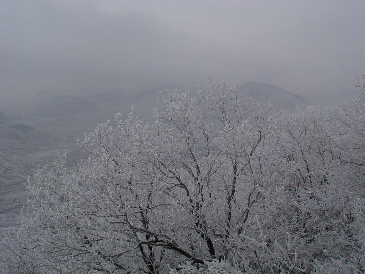 DSCF6443Bába-tetőről a Füzéri vár